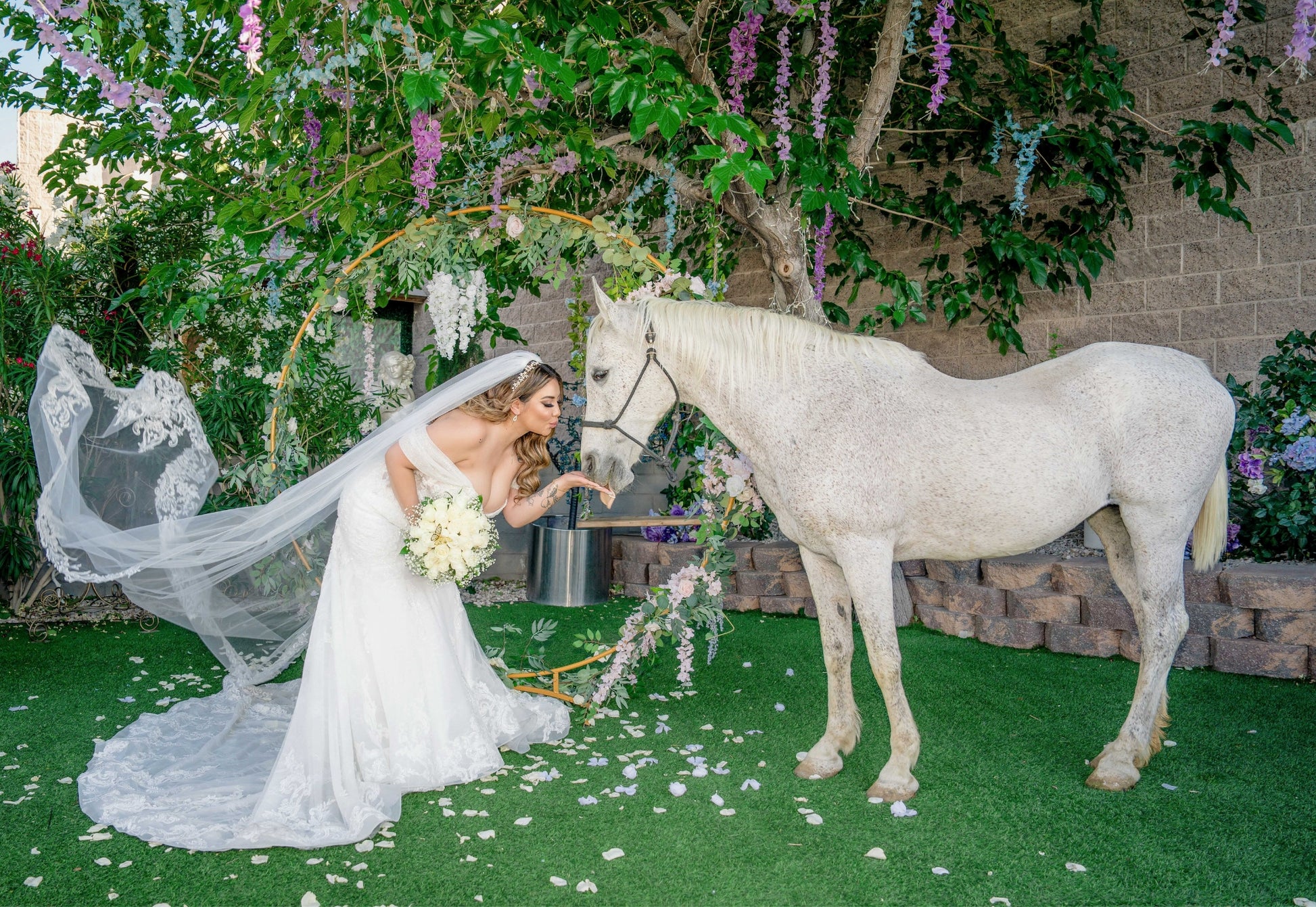 Horse for Grand Entrance or Photos